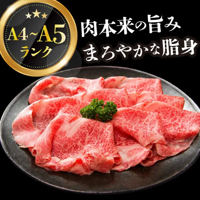 【訳あり】A4-A5 長崎和牛 赤身霜降り（肩・モモ）400g  [DBS021] 赤身