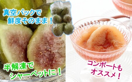 鮮度そのまま! 冷凍完熟いちじく / バナーネ(白いちじく)1.5kg_2287R