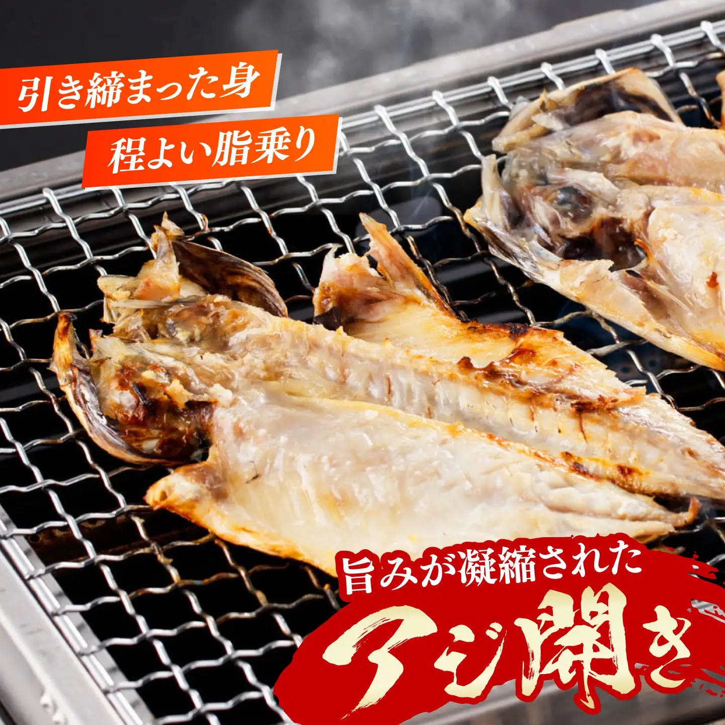 【全2回定期便】対馬 海の幸 干物 セット 海鮮 [WAC055]
