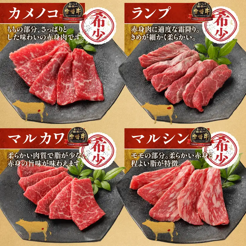 宮崎牛食べ比べ10種盛り焼肉セット(各600g×2P)〔34-31-003-1200g〕_(都城市) 宮崎県産 宮崎牛 A4ランク 焼肉 セット 内モモ カタ トンビ ランプ ラムシン マルシン カメノコ イチボ マルカワ ミスジorトモサンカク 10種類 贈答用