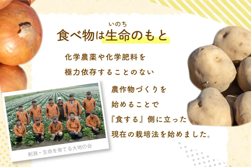 野菜 けんぶち産農産物セット 3種 計10kg