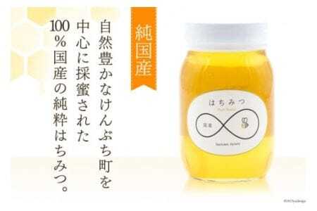 国産 ハチミツ 600g 1個