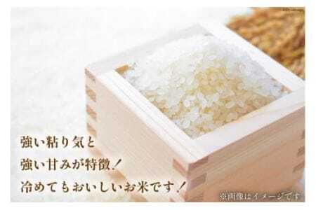 米 令和7年 ゆめぴりか 5kg