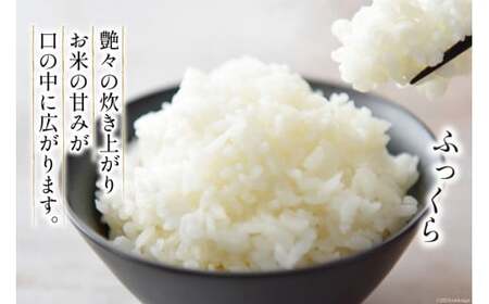 【日本一のお米】 令和6年 米 ゆきさやか 5合(750g)【郵便受けにお届け】