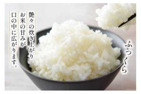 【北海道で一番食べられているお米】 令和6年 米 ななつぼし 5合(750g)【郵便受けにお届け】