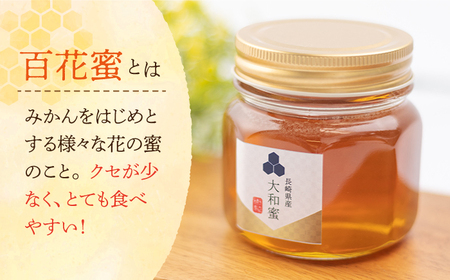【長崎県産】大和蜜（天然はちみつ）280g×3本 長与町/蜜ロマン養蜂園[ECE005]  百花蜜 国産 純粋蜂蜜 日本みつばち 大和蜂蜜