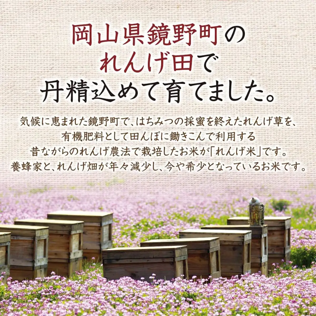 鏡野町産れんげ米＆はちみつ梅干（21876）【006-a051】【山田養蜂場】