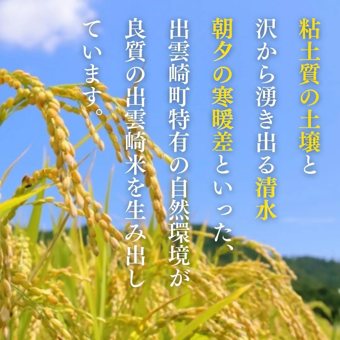 新之助 精米 お米 5kg | 新之助 令和7年産
