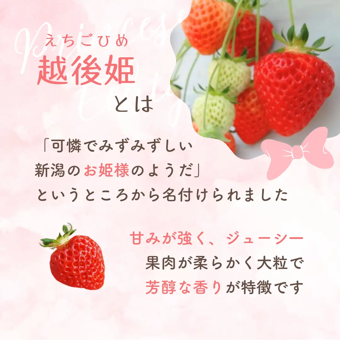 【いちごジャム】コンフィチュール ジャム （100g 3個） 越後姫 | ジャム 新潟県 出雲崎町