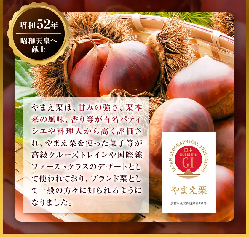 GI認証登録 山江村の やまえ栗 生栗 3kg 品種指定なし 筑波 美玖里 など旬の品種 やまえ栗ブランド部会 有限会社やまえ堂《9月上旬-10月下旬頃出荷》熊本県 球磨郡 山江村 栗 くり フルーツ 熊本県産 果物 早期 予約