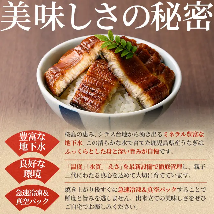 【0104347a-2610】＜10月上旬発送予定＞東串良町のうなぎ蒲焼(無頭)(2尾・計約300g・タレ、山椒付) うなぎ 高級 ウナギ 鰻 国産 蒲焼 蒲焼き たれ 鹿児島 ふるさと 人気 【アクアおおすみ】