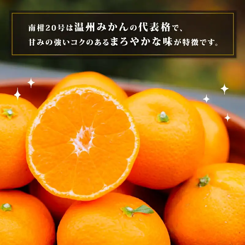 みかん 南柑20号 温州みかん 5kg コルレオファーム B010-145008