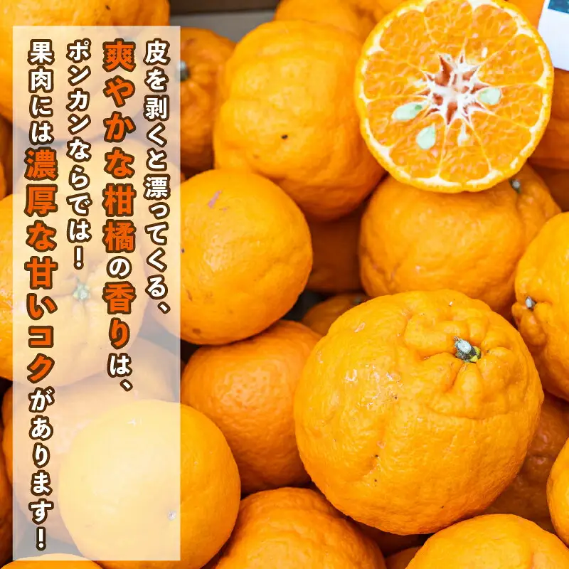訳あり ポンカン 9kg コルレオファーム ポンカン B012-145010