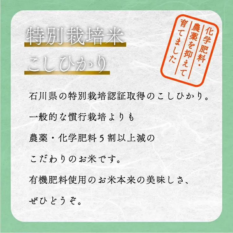 こしひかり 玄米 5kg 特別栽培米 令和8年産 こしひかり コシヒカリ 農家ふじた