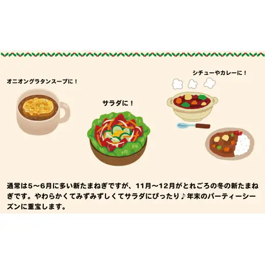 【2026年11月～発送】農家直送！サトちゃん農園のクリスマスオニオン 4kg 【サトちゃん農園】たまねぎ 新玉ねぎ しんたま クリスマス 料理 サラダ フレッシュ ごちそう | 10000円以内 1万円以内 | fu001
