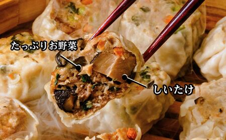 焼売 てんの焼売と野菜焼売の8個セット 焼売 埼玉県 上尾市