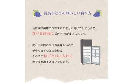 長良ぶどう デラウエア 約2ｋｇ【6月末までの入金で今期の発送】 ブドウ 葡萄 皮ごと 岐阜市/JAぎふ[ANAS013]