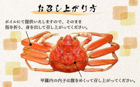 【先行予約】越前港より直送！ せいこがに（約150～200g）2杯※発送前に在宅確認の電話連絡をいたします!【11月～12月発送】  海鮮  ボイル 