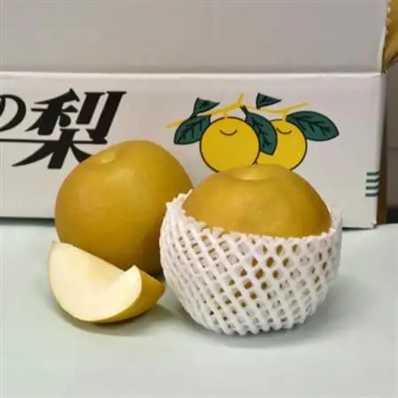 【数量限定】館山齊藤果樹園の完熟梨「新高(にいたか)」6～9個【1534578】