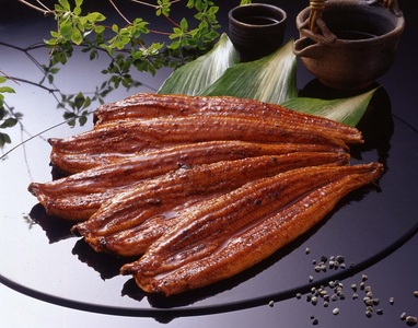 鰻の長蒲焼き5尾詰合せ (a50-085)