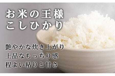 【こしひかり8kg】山梨県富士山麓で育った西桂町産精米4kg×2袋 ／ お米 白米 精米 コシヒカリ 山梨県【西桂町との共通返礼品】【tab0156】