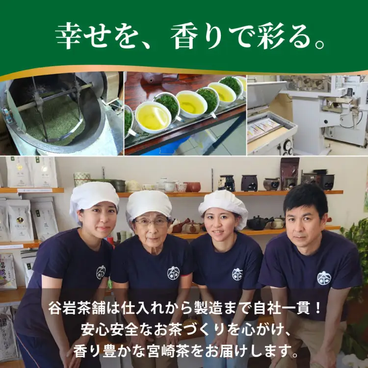 お茶 緑茶 煎茶 晟 70g×3本