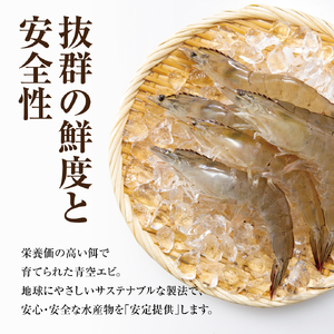 青空えび（和名：シロアシエビ）２パック入り【conn0001】