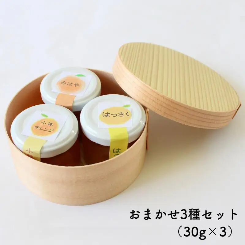 ミニマーマレード おまかせ3種セット（30g×3） / ジャム オレンジ みかん 柑橘 手づくり ビン 詰め合わせ 食べ比べ 和歌山県 田辺市【ktr019】