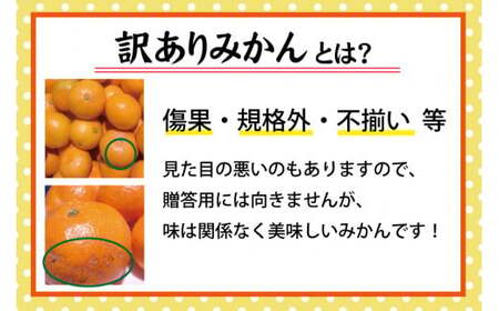 【2026年秋頃発送予約分】【訳あり】こだわりの極早生みかん 約10kg ※2026年10月上旬より順次発送予定（お届け日指定不可） 有機質肥料100% サイズ混合 有田産【nuk167B】