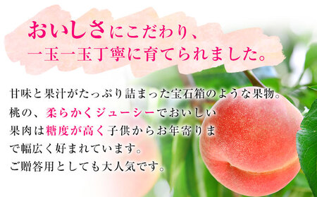 【先行予約】和歌山県産 桃【秀品】約1kg  前商店
