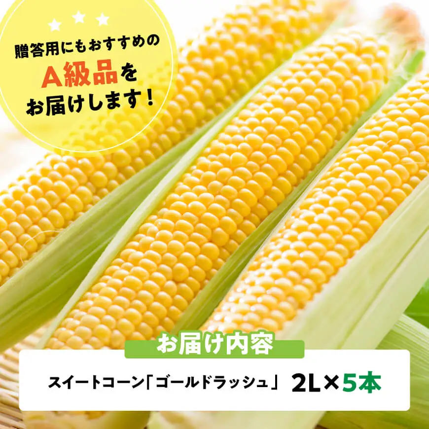 【令和9年産】スイートコーン「ゴールドラッシュ」2L×5本 【 新鮮 農家直送 トウモロコシ 産地直送 季節限定 期間限定 宮崎県産 九州産 】