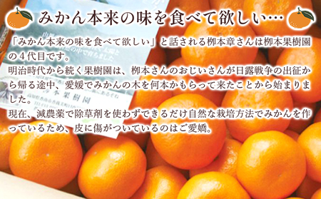 家庭用 柳本果樹園の山北みかん 3kg 大小混合(2S～L) - 果物 フルーツ 柑橘類 温州みかん ミカン 蜜柑 甘い おいしい 訳あり キズ 大小混合 期間限定 季節限定 数量限定 高知県 香南市 yg-0034