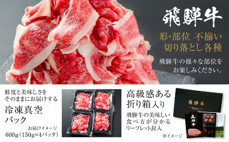 訳あり 飛騨牛 切落とし 600g 黒毛和牛 和牛 飛騨高山ミート [MZ012]