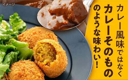 コロッケ 本気のカレーコロッケ20個 0.8kg / 冷凍 惣菜  [AKFJ017] 