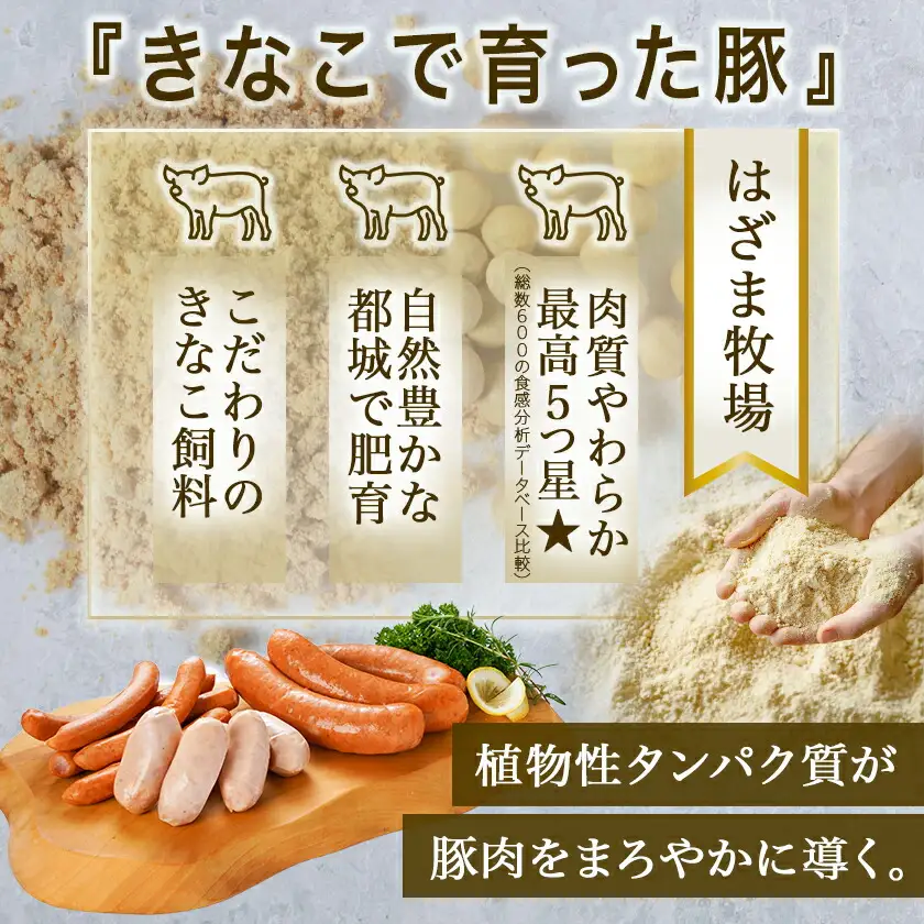 「きなこ豚」加工品Aセット〔MJ-1208〕_(都城市) きなこ豚 ブランド豚 銘柄豚 ブランドポーク ミートボール ハンバーグ フランク ウインナー ソーセージ 生ハム 加工品 おかず 冷凍