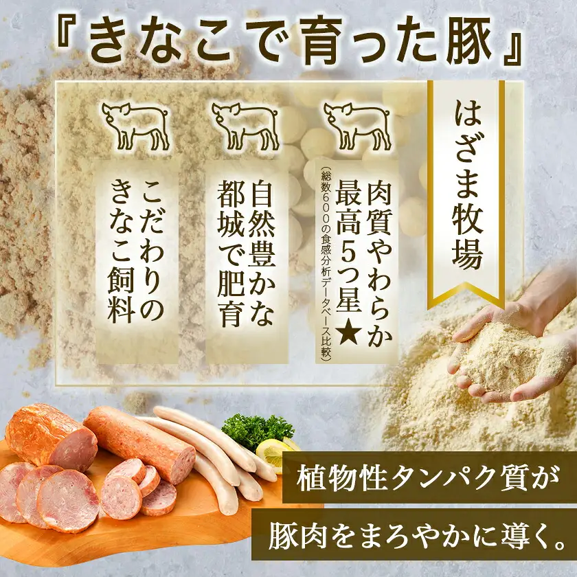 「きなこ豚」加工品Bセット〔MJ-1209〕_(都城市) きなこ豚 ブランドポーク プレスハム ソーセージ 生ウインナー 味噌漬け ベーコン 生ハム 加工品 おかず 冷凍