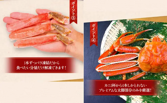 生ずわい蟹 1.5kg 太脚棒ポーション（殻剥き）[024-c322_fn] かに