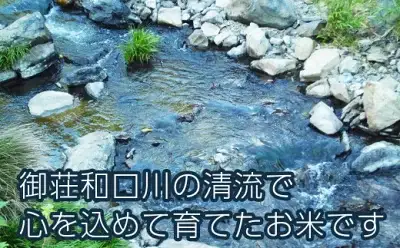 【新米】 先行予約 新米 令和8年産 にじのきらめき 10kg 20000円 お米 白米 精米 米 