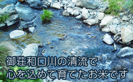 先行予約 新米 令和7年産 にじのきらめき 20kg 35000円 お米 白米 精米 米 こめ 産地直送 国産 農家直送 期間限定 数量限定 特産品 令和7年度産 2025年産 新品種 大粒 もっちり 粘り 甘み おいしい おにぎり 人気 コシヒカリ に負けない 内祝い お祝い 贈答品 お返し プレゼント 土産 御礼 お礼 お取り寄せ 愛南町 愛媛県 