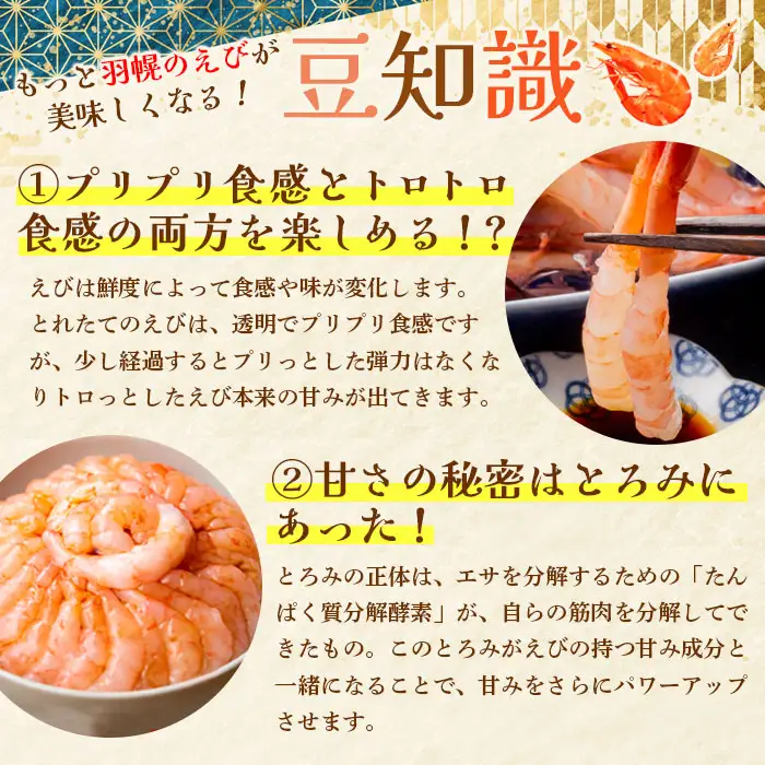 お刺身用甘えび（500g）・味付けかずのこ（140g×2パック）セット【05117】