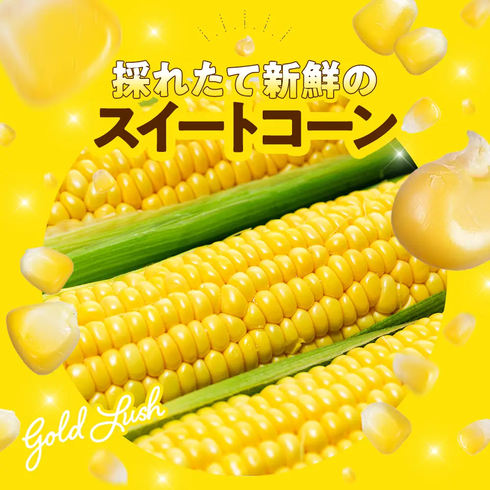 【2027年先行予約 6月下旬から出荷】 スイートコーン 約5kg 10-14本 冷蔵 国産 先行予約 数量限定 コーン 野菜 新鮮 焼き 蒸し 産地 直送 甘い 甘口 子ども 子供 小分け 種子 肥料 さわやか すっきり 糖度 黄色 人気 おすすめ 愛知県 南知多町