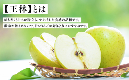 りんご 広船のサンふじ・王林詰合せ約5kg  贈答用 特A16~20玉 12月発送[hi-0004-006]