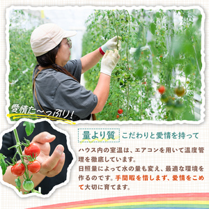 トマトジュース フルーツトマトジュース 720ml 2本入りトマト 【トマトジュース】【ho1373】