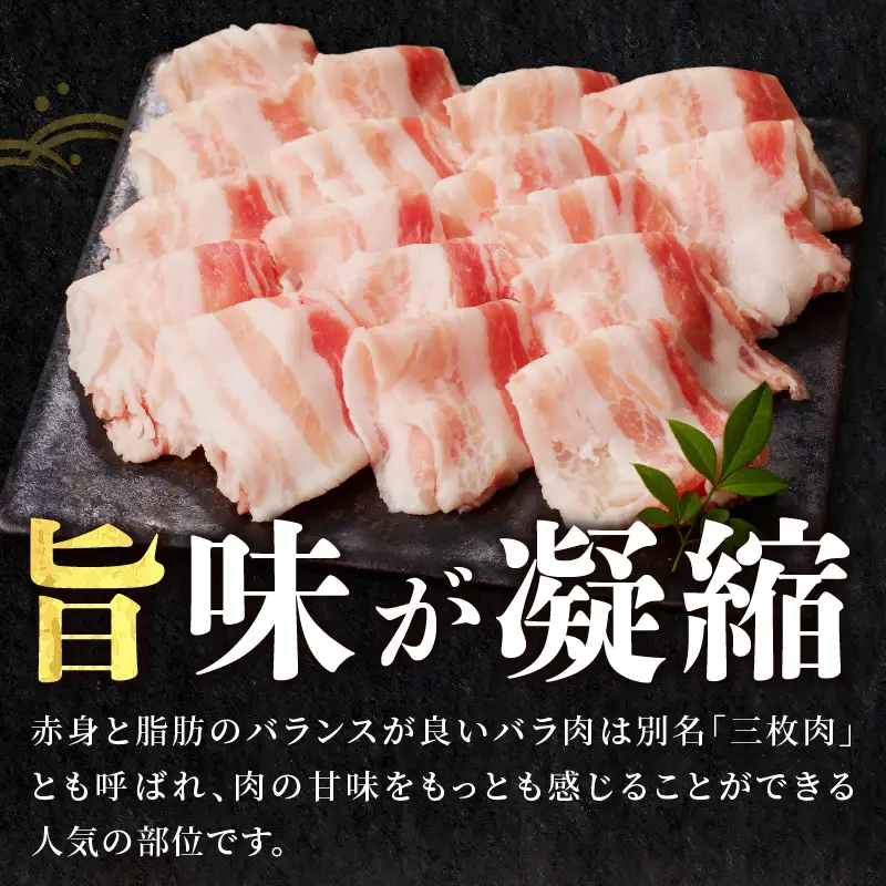 宮崎県産豚バラしゃぶしゃぶ用(計1kg) 肉 豚 豚肉 おかず 国産_T009-0136