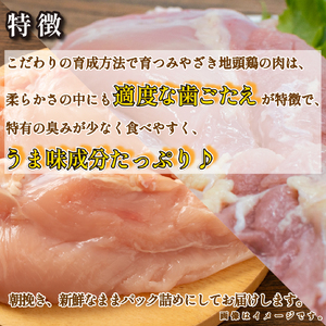 【宮崎ブランド地鶏】朝挽き ”みやざき地頭鶏” もも・むねおためしセット 約1kg（国産 鶏 鶏肉 地頭鶏 モモ ムネ 焼肉 BBQ） 国産鶏肉 鶏肉もも 鶏肉モモ 鶏肉むね 鶏むね