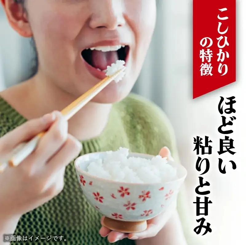 令和7年幸手産 こしひかり【精米】5㎏×2袋 - コシヒカリ 精米 10kg 令和7年産 埼玉県 幸手市 幸手市産