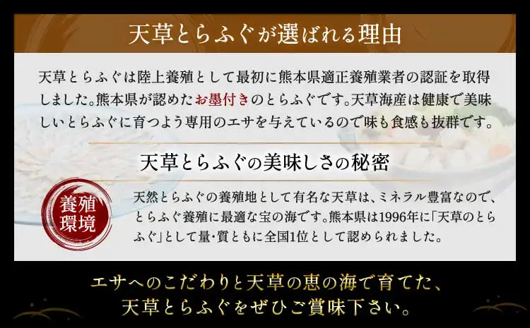 先行予約 数量限定 白子付 大皿使用 国産最高級 天草 とらふぐ コース 3～4人前 【2026年12月下旬～2027年3月下旬発送予定】