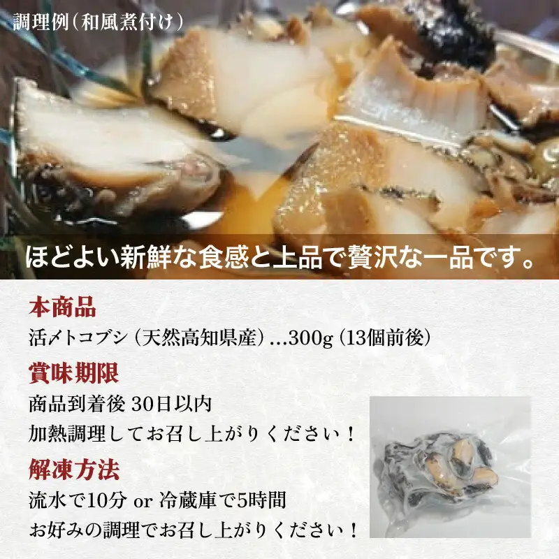 活き〆とこぶし 2人前300g 冷凍 S121 [S-19] 【株式会社森海家】