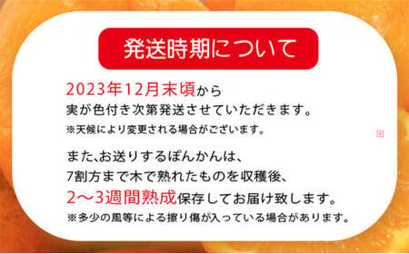 「先行予約」東洋町の完熟ポンカン＜10kg＞　U109 【合同会社松本家】