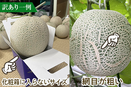 【訳あり】純系マスクメロン２玉【１０月発送分】
